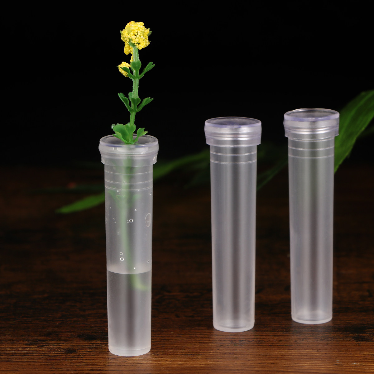 50Pcs Flower Water Storage Tub – Florist Flower Supply Bewertung und Preis