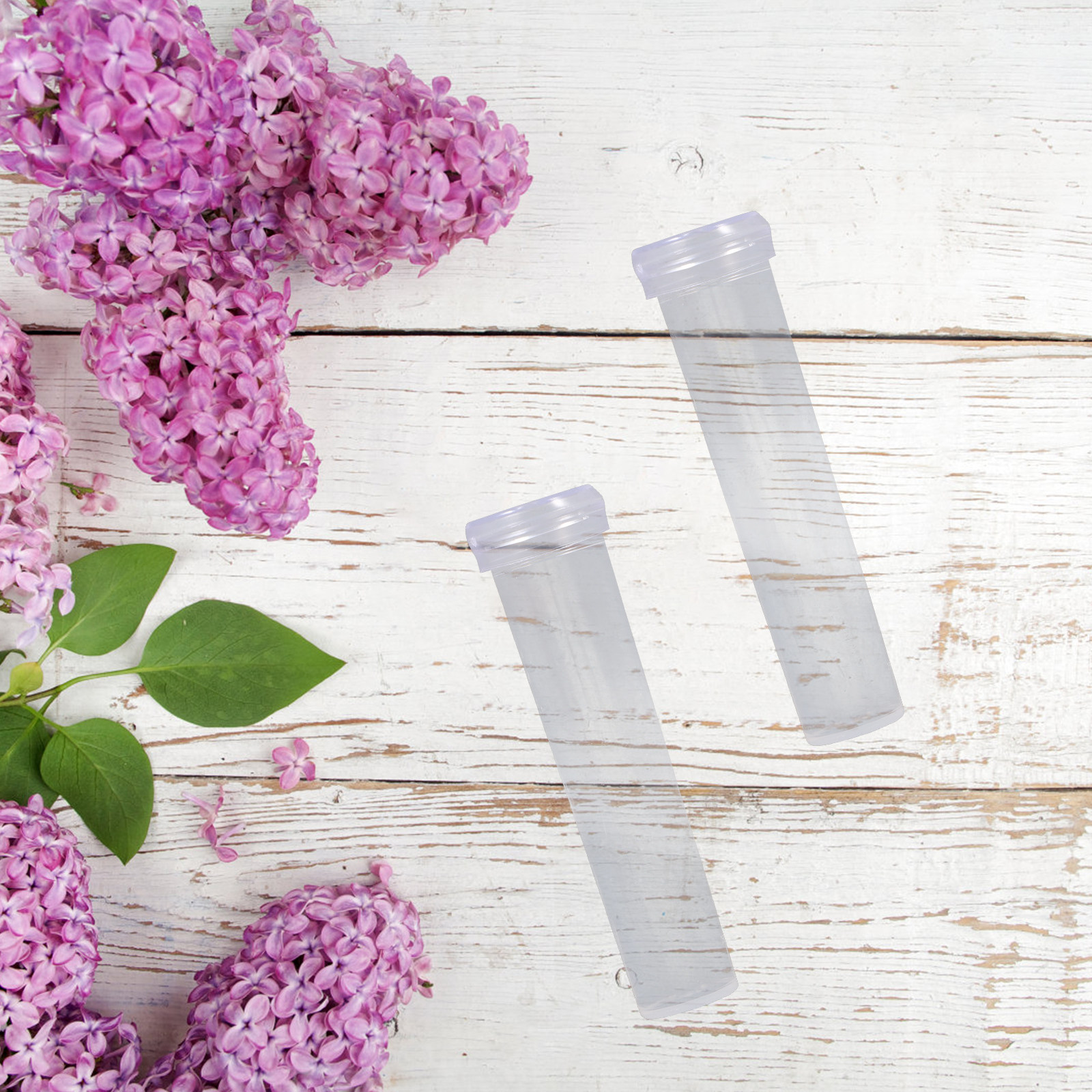 100Pcs Nutrition Flower Tube T – Florist Flower Supply Bewertung und Preis